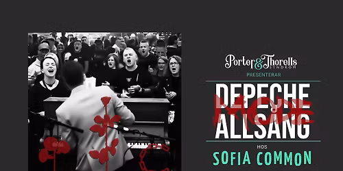 DEPECHE MODE ALLS\u00c5NG AGAIN!