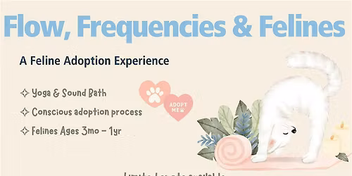 Flow, Frequencies & Felines
