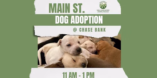 Main St. Dog Adoption @ Chase Bank