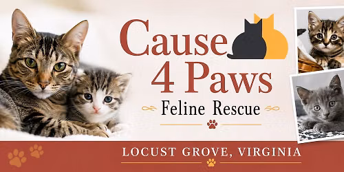 C4P Adoption Event