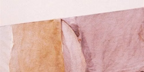 Introduction to Natural Dyes Workshop