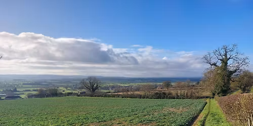 GYBO New Year's Day Snainton Walk