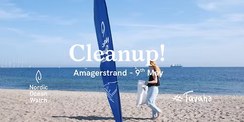 Cleanup at Amagerstrand - NOW x Copenwater