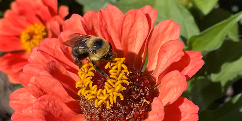 After Hours: The Honey Hideaway