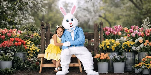The Easter Bunny Experience 