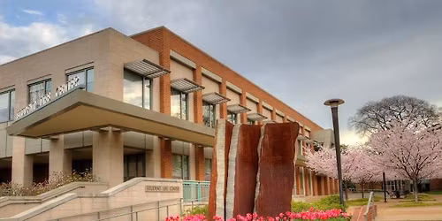 Vanderbilt Winter 2026