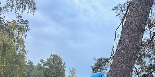 Testa H\u00f6gh\u00f6jdsbana \/ Let's try High Ropes Course