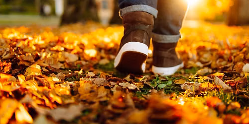 Guided Nature Walk at Homer Watson Park and Community Trail - FREE EVENT