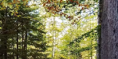 No-drop Community Hike