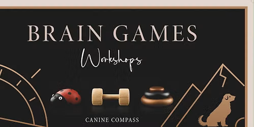 Brain Games