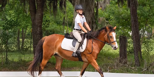 CEDA Fall Classic Schooling Show - "R" Judge