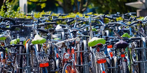 Versteigerung von Fundfahrr\u00e4dern