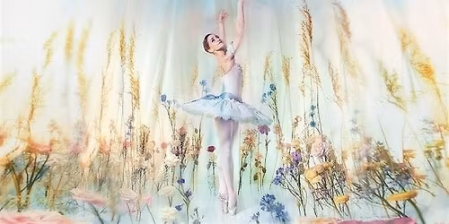 Southside Ballet Presents Cinderella