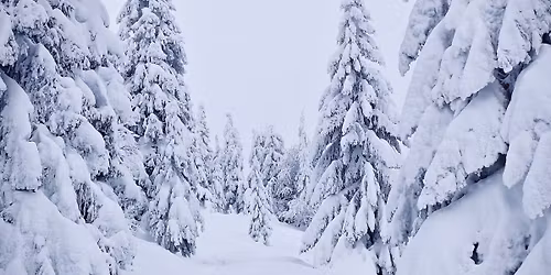 Babia Gora - Pilsko cs\u00facsok t\u00e9li h\u00f3talpas t\u00fara