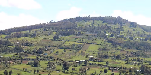 Kenton and Nathan Hill