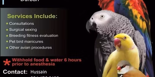 Avian Veterinary Dr A Smit