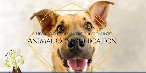 The Art of Animal Communication & Energy Healing | Connect With Your Dog