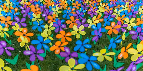 Walk to End Alzheimer's - Greater Boston