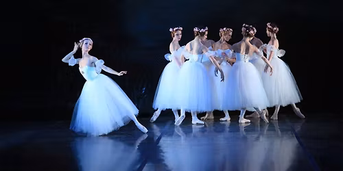 Illinois Ballet Company Spring 2026 Show
