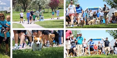 PuppyUp Madison - Companions Against Cancer Walk 2026