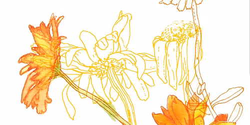 PLANTECROQUIS