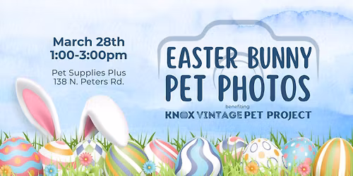 Easter Bunny Pet Photos