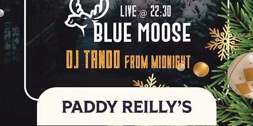 Christmas Party at Paddy Reilly\u2019s \ud83c\udf85\ud83c\udf7b