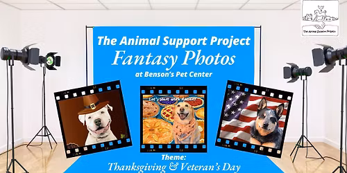 The Animal Support Project Fantasy Photos (Thanksgiving & Veteran's Day Theme)