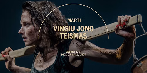 MARTI X VINGI\u0172 JONO TEISMAS