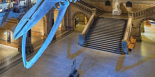 Michael Faraday Prize Lecture: Life in the fast lane