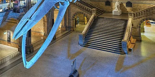 Michael Faraday Prize Lecture Life in the fast lane