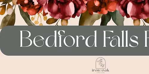 Bedford Falls Fun