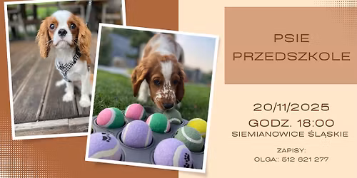 Psie Przedszkole z Pies Inaczej