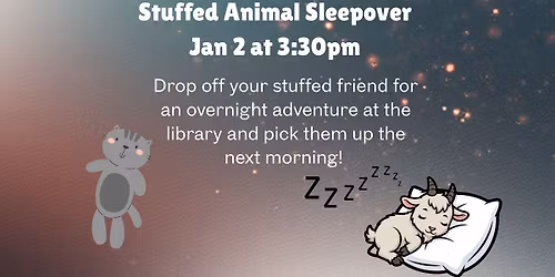 Stuffed Animal Sleepover