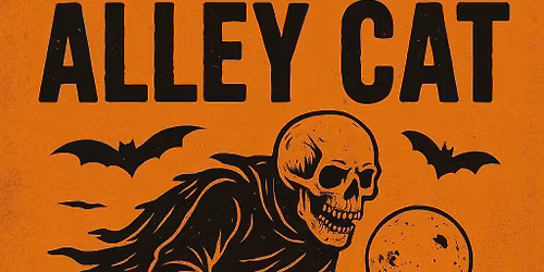 Halloween Alley Cat 2025