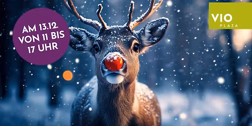 Rudi Rentier im VIO PLAZA