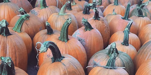 Troop 500 Pumpkin Sale & Coat Drive