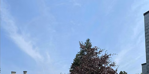 July Free Tree Walk: Salve Regina University