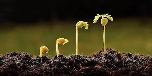 Lutterworth Writers' Group January 2026 Meeting