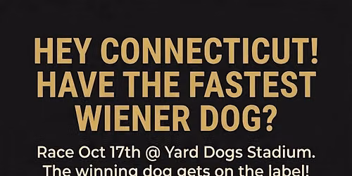 1st Annual Fastest Wiener Dog Race in Connecticut