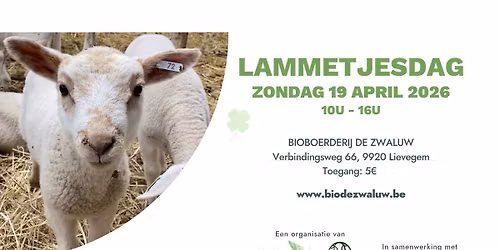 Lammetjesdag