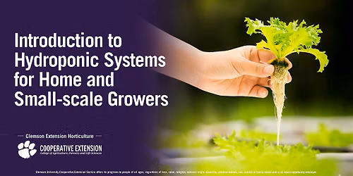 Introduction to Hydroponic Systems for Home & Small-Scale Growers
