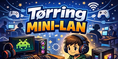 T\u00f8rring Mini-LAN