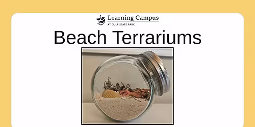 Eco-Art: Beach Terrariums