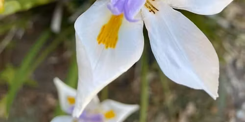 Christmas Eve Candlelight Worship