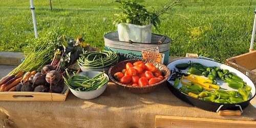 Farmer's Market