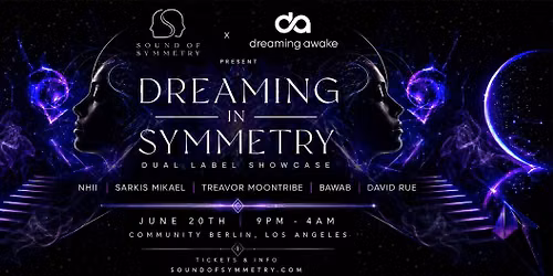 Dreaming In Symmetry