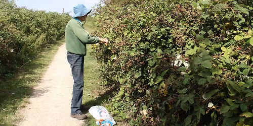 May Community Action Morning