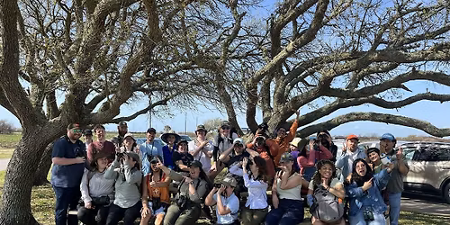 FBC HTX - Birding Basics: Woodland & Forest Birds!