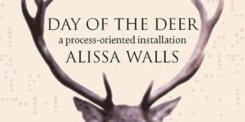 Alissa Walls | Day of the Deer: a process-oriented installation